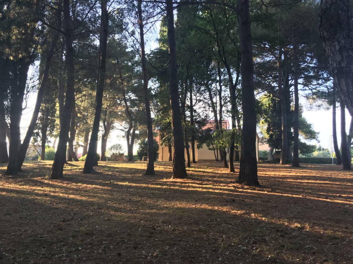 Pribetic Apartments Porec Bagian luar foto